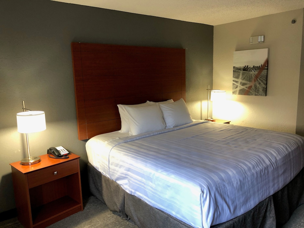 Standard Room, 1 King Bed, Non Smoking, Refrigerator & Microwave - Photo 4