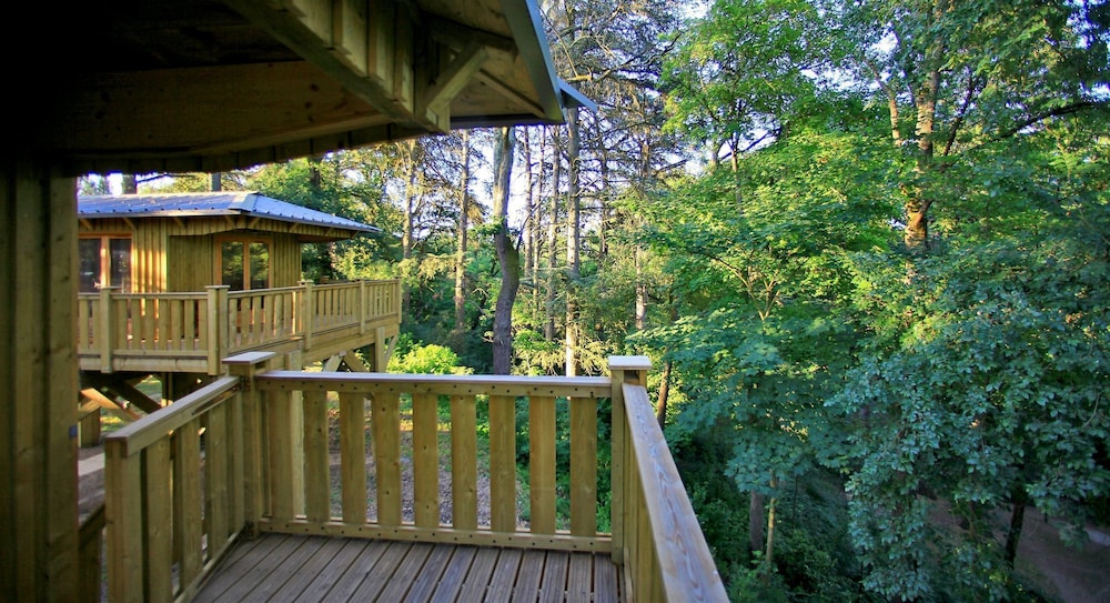Tree House photo 3