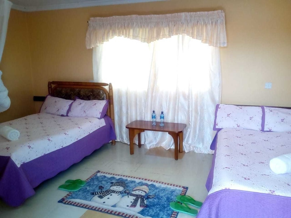 Standard Double or Twin Room photo 2