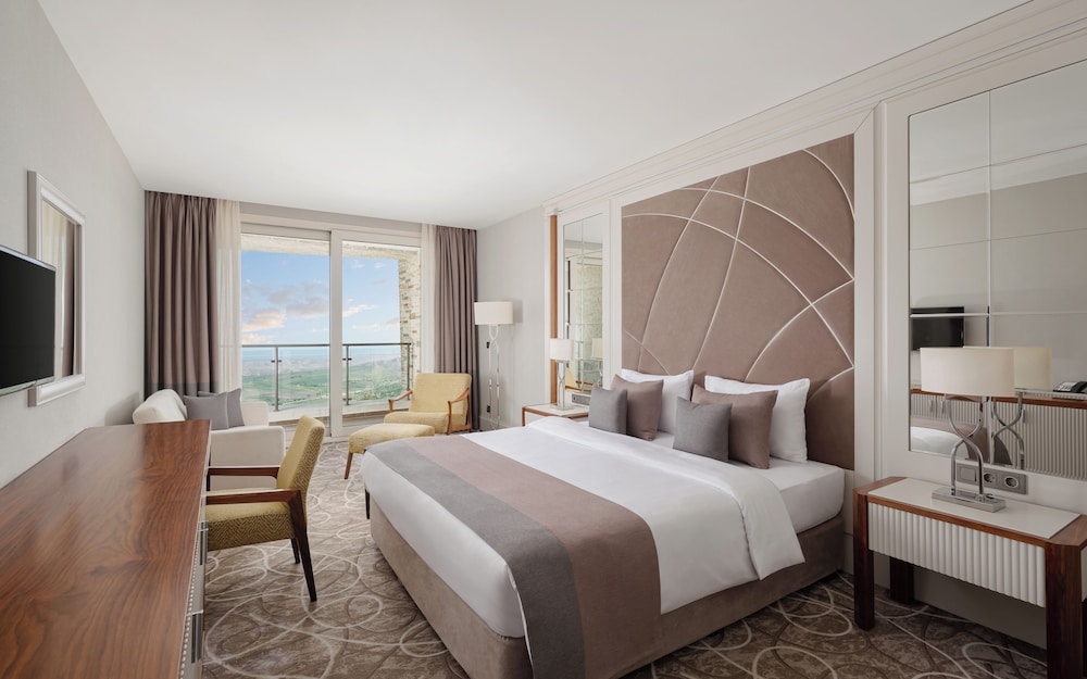 Superior Double or Twin Room, Mountain View photo 1