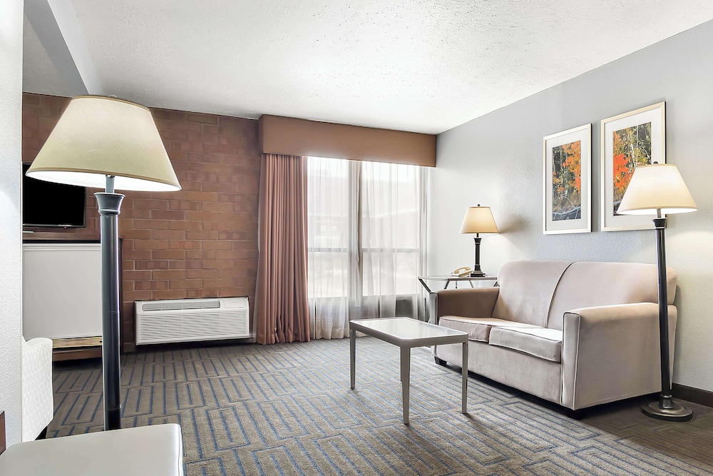 Suite, 1 King Bed, Non Smoking, Refrigerator & Microwave (with Sofabed) photo 1