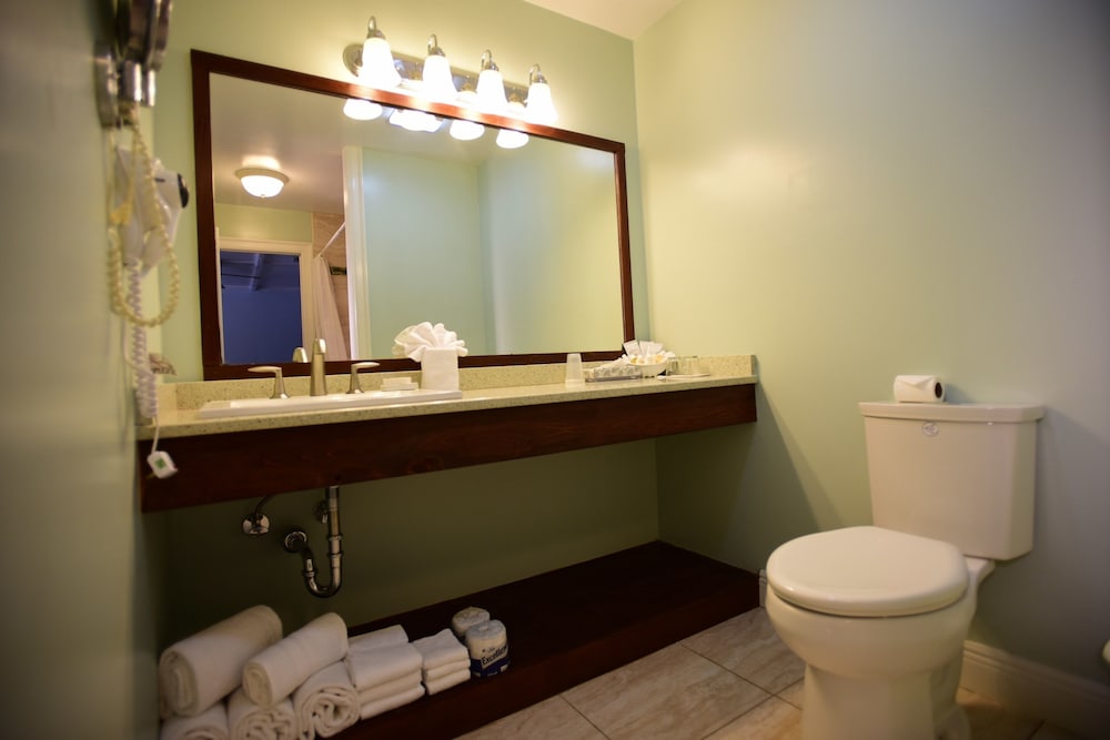 Deluxe Room photo 3