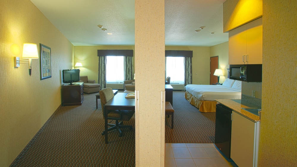 Suite, 1 King Bed (Office) - Photo 2