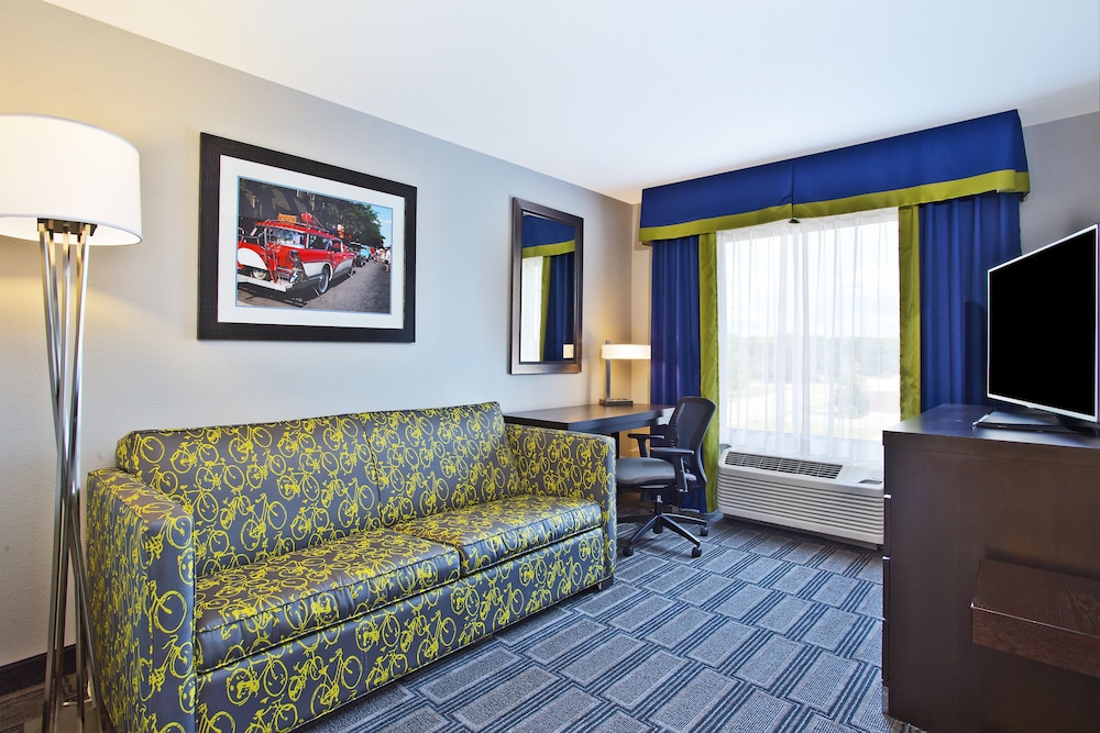 Suite, 1 King Bed with Sofa bed