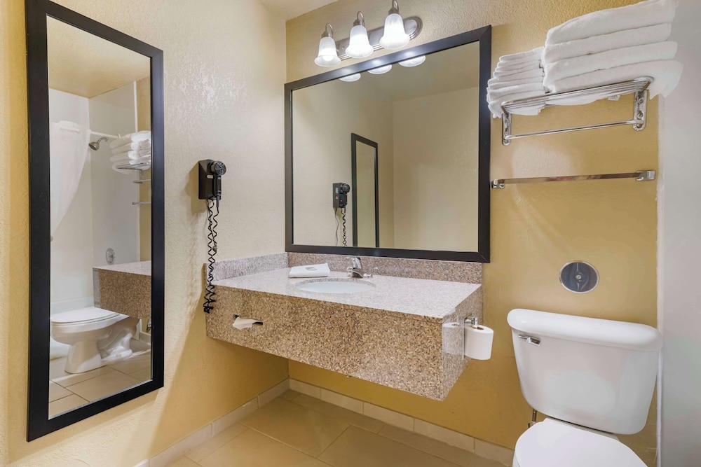 Standard Room, 1 King Bed, Accessible, Refrigerator & Microwave - Photo 4