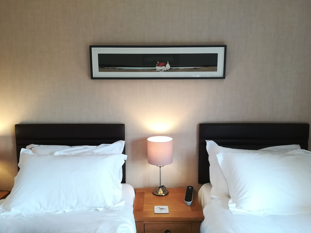Twin Room photo 1