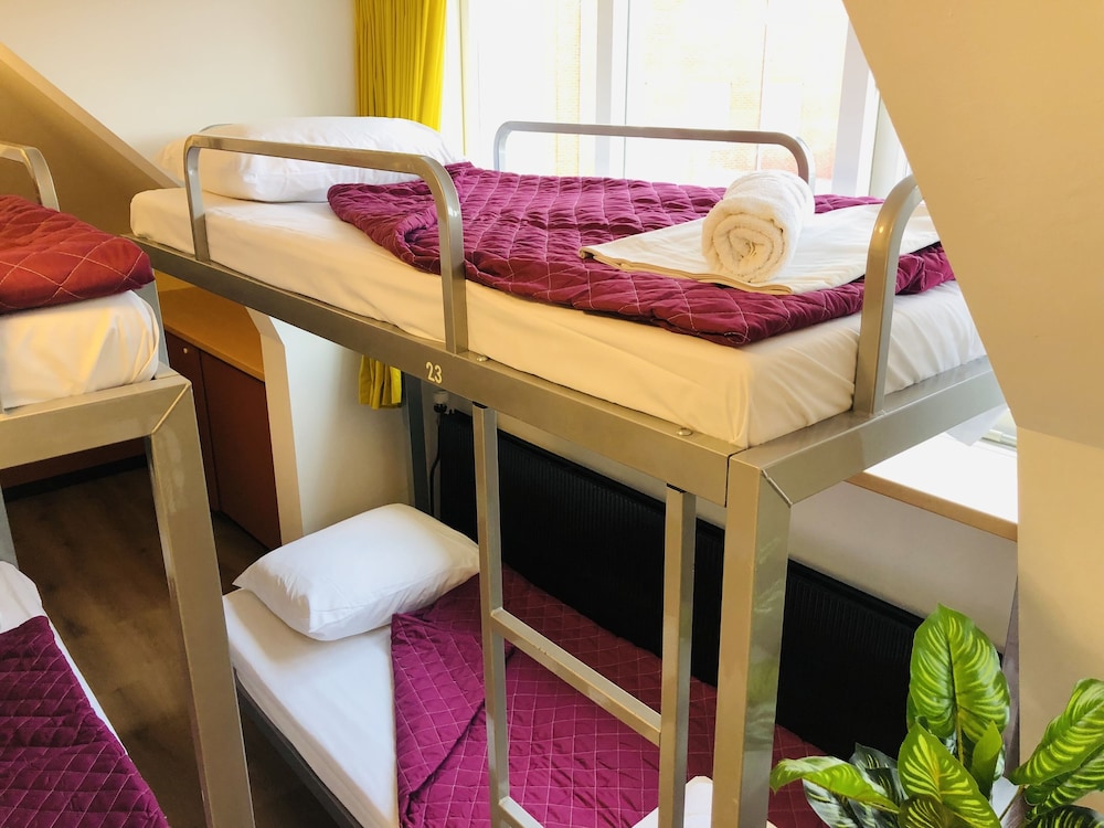 Basic Shared Dormitory, Mixed Dorm photo 1