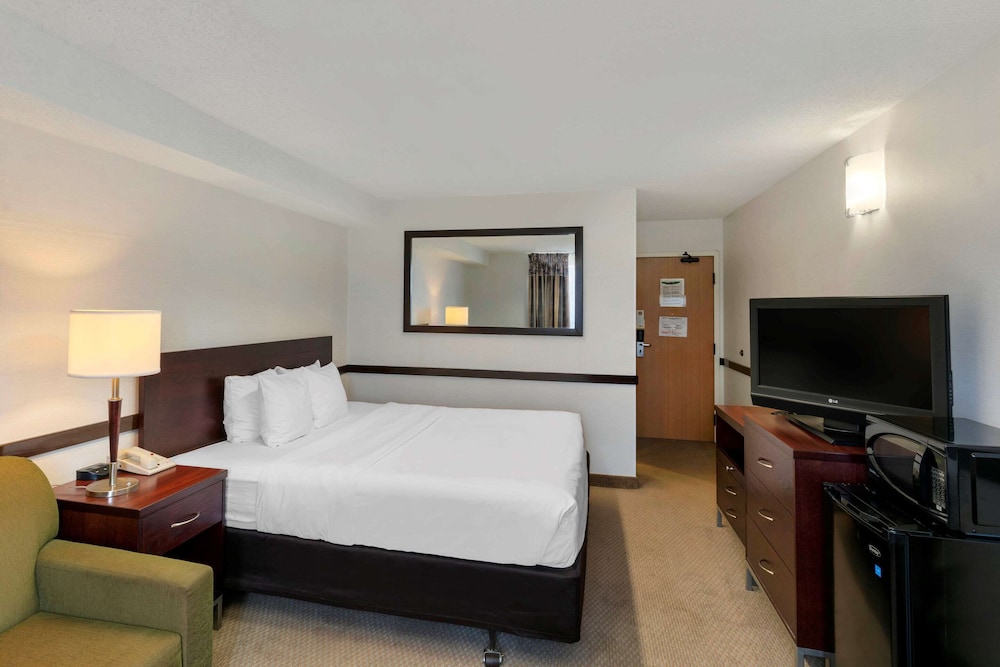 Suite, 1 King Bed with Sofa bed, Non Smoking photo 3
