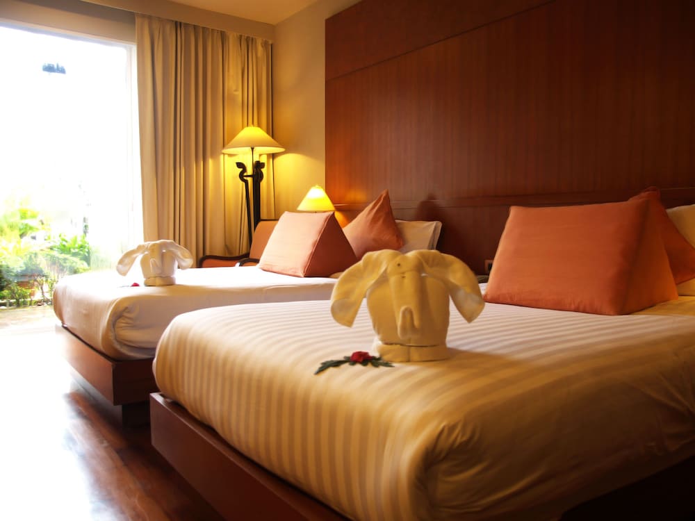 Deluxe Room - Photo 29