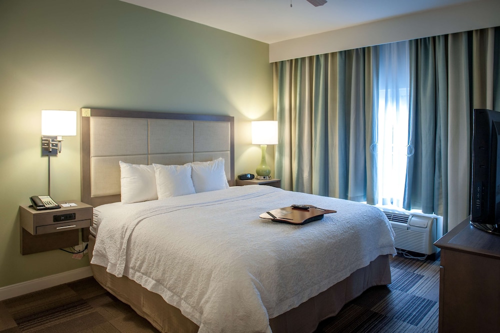 Suite, 1 King Bed with Sofa bed, Accessible, Bathtub (Wet Bar) - Photo 1