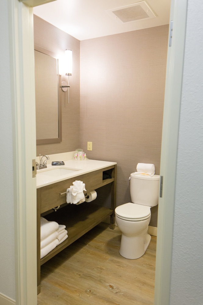 Suite, 1 Bedroom - Photo 6