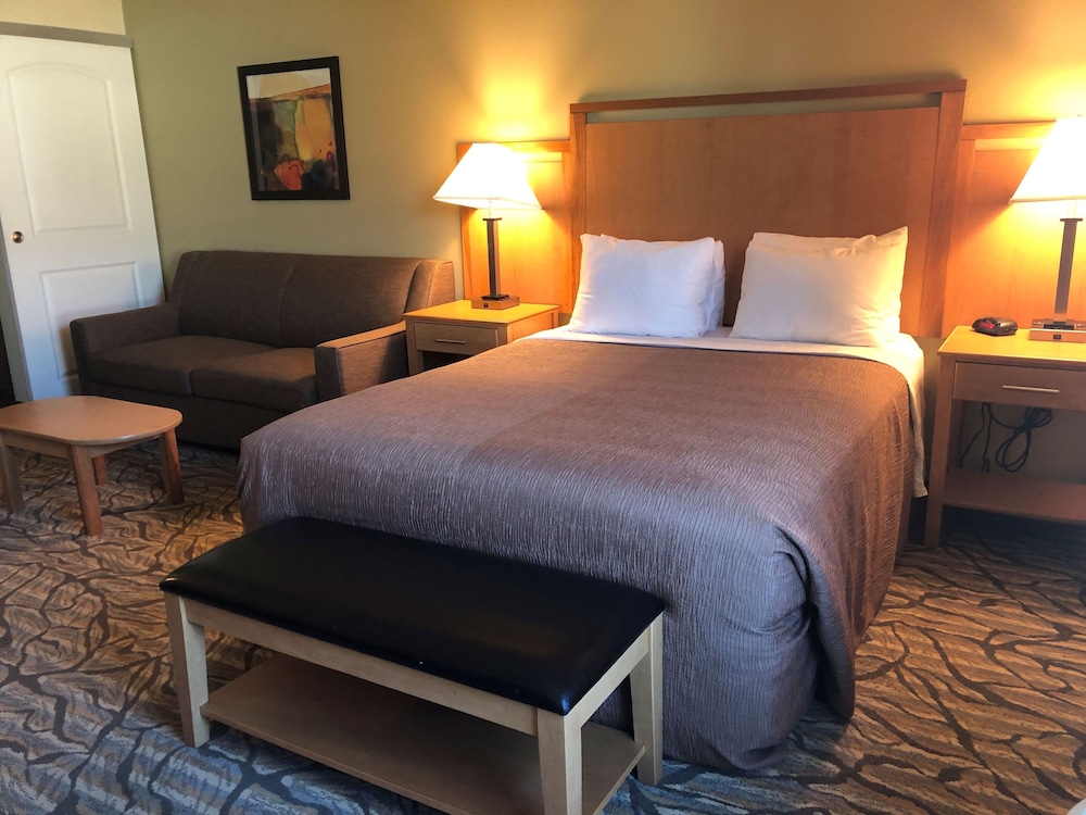 Studio, 1 Queen Bed, Kitchen