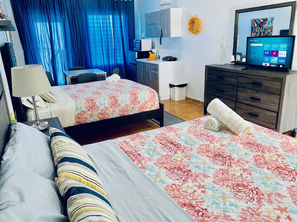 Dv 104 Deluxe Ocean View Suite / Kitchenette / 2 Full Size Beds, Oceanfront Property