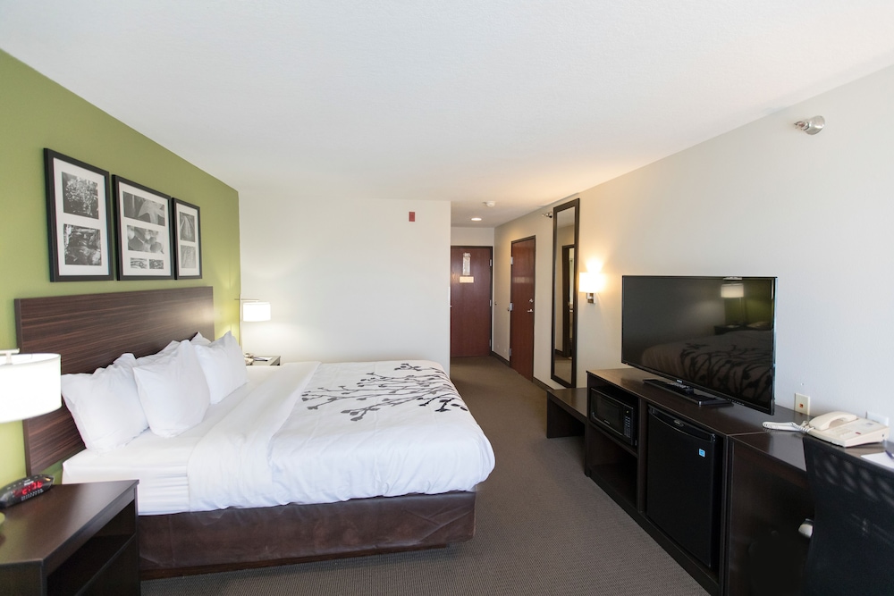 Standard Room, 1 King Bed, Non Smoking - Photo 5