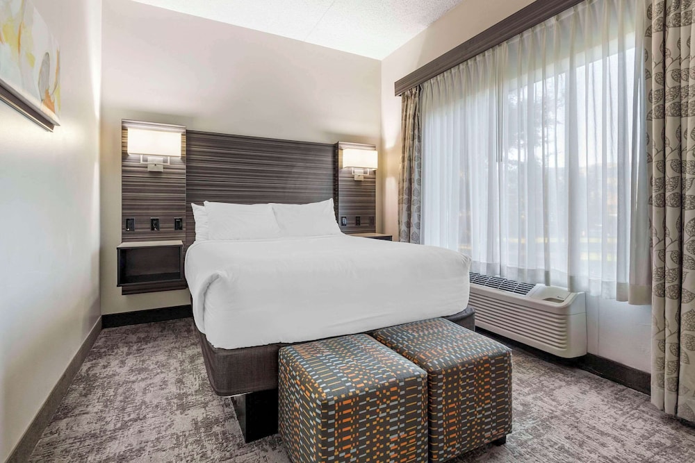Suite, 1 King Bed, Non Smoking - Photo 4