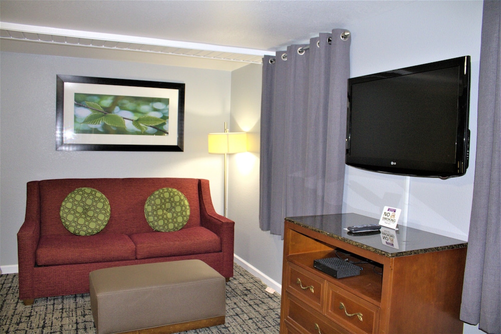 Deluxe Studio Suite, 1 King Bed with Sofa bed photo 3