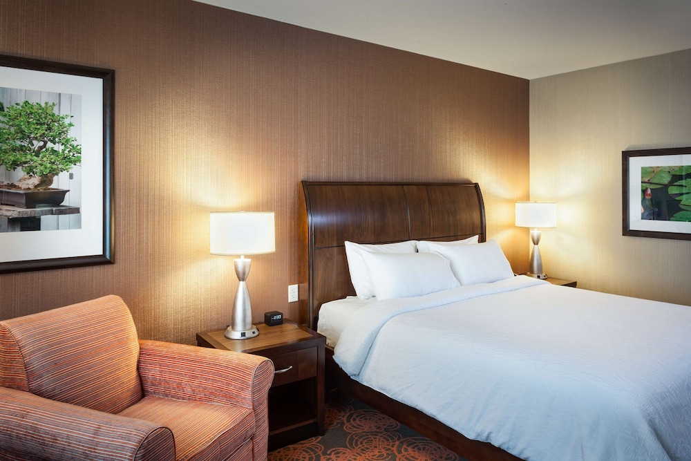 Premium Room, 1 King Bed, Accessible (Hearing) photo 3