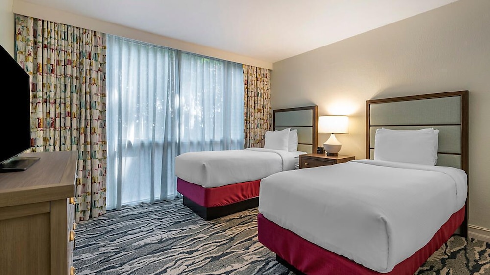 Suite, 2 Bedrooms photo 1