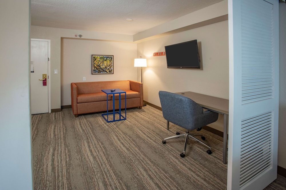 One King One Bedroom Suite Nonsmoking - Photo 3