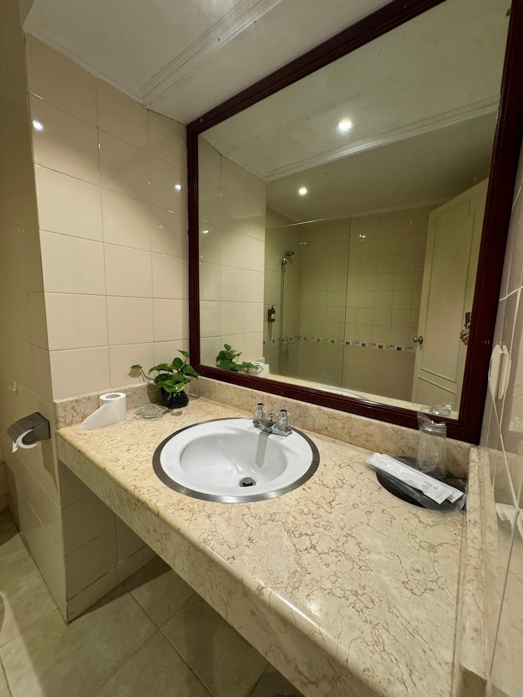 Superior Double or Twin Room, Balcony, Mountain View photo 2
