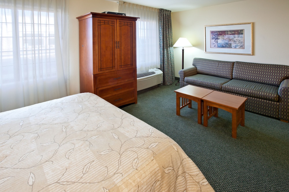 Studio Suite, 1 Queen Bed with Sofa bed, Kitchen - Photo 1