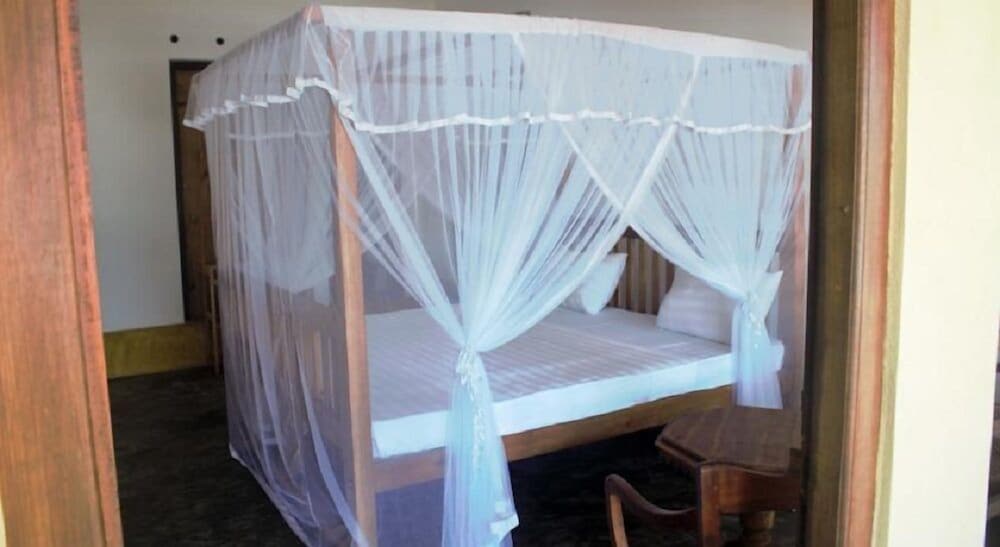 Balcony Room on the Beach photo 3