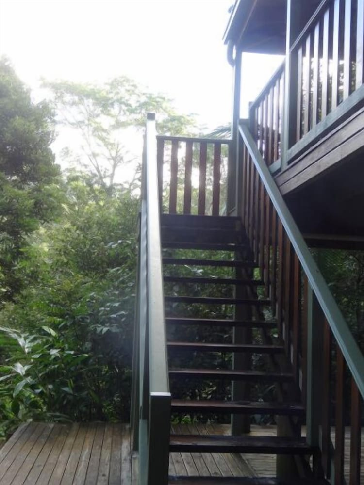 The Pole Place: Surrounded By Rainforest photo 3