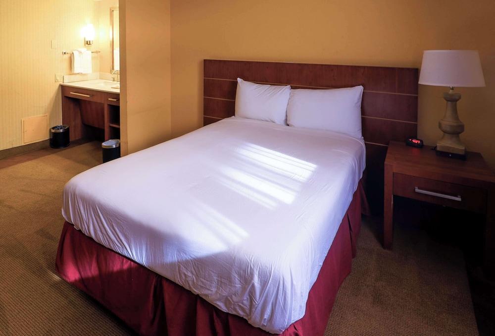 Business Room, 1 King Bed, Non Smoking, Kitchenette photo 2