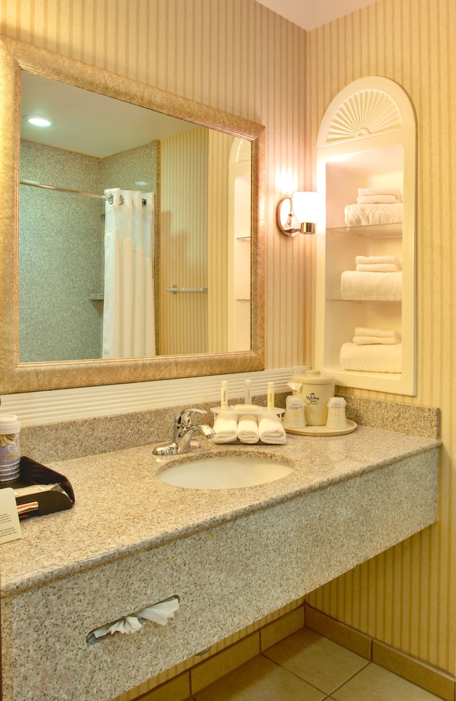 Room, 1 King Bed, Accessible (Roll-In Shower) - Photo 2