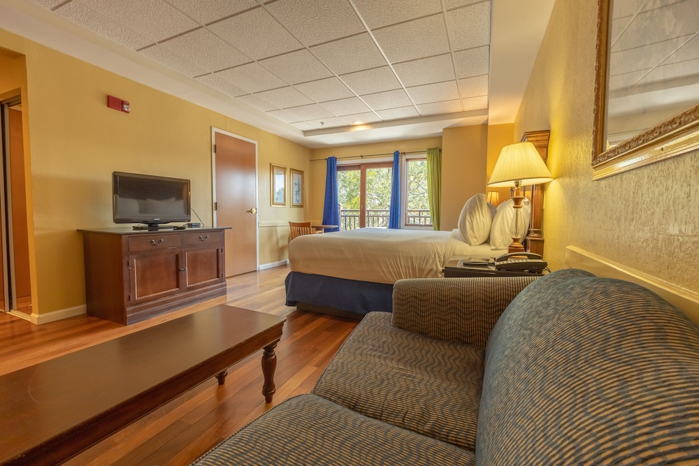 Superior Studio, 1 King Bed with Sofa bed, Balcony, Courtyard View