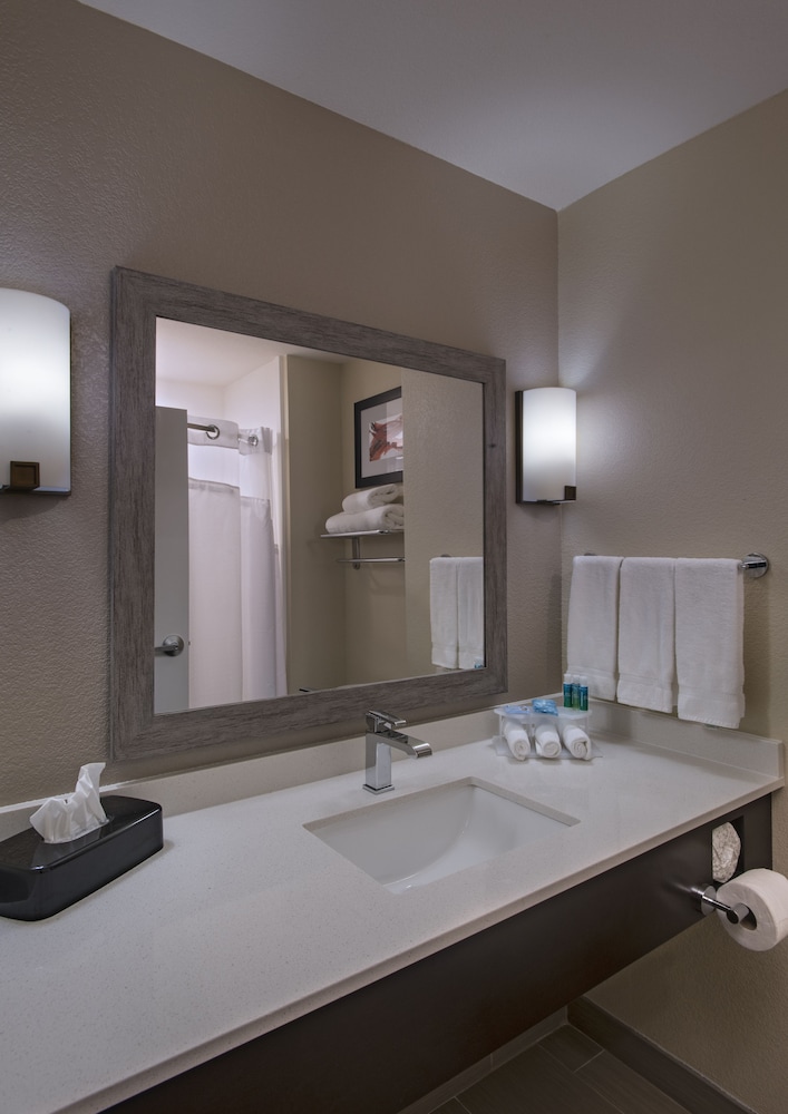 Suite, 1 King Bed photo 2