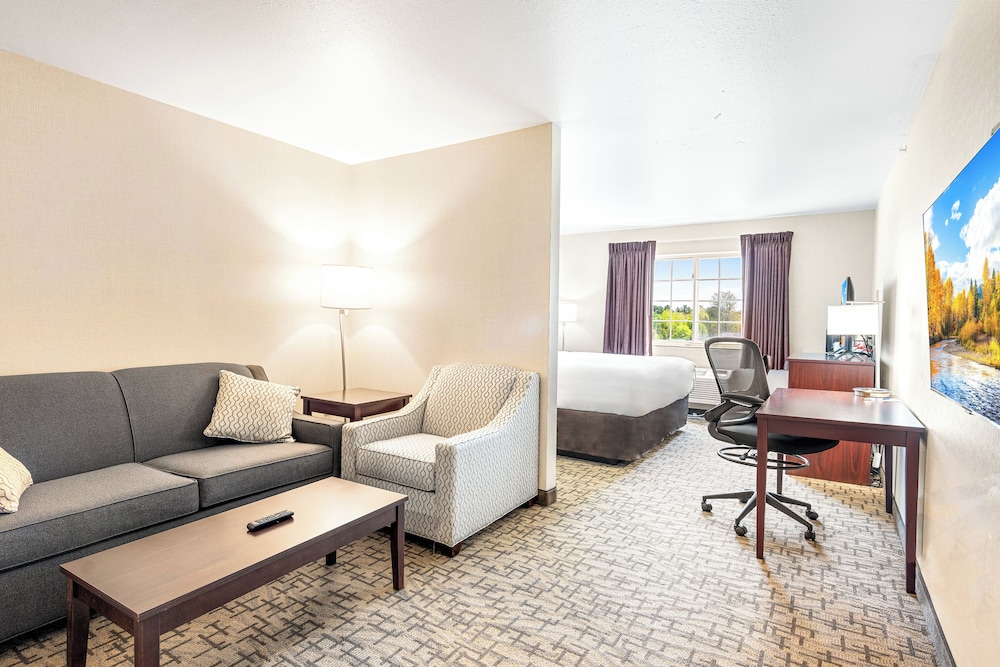 Suite, 1 King Bed with Sofa, Non Smoking photo 1