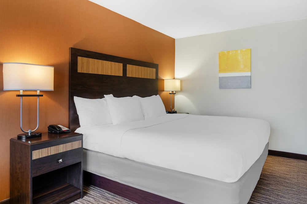 Suite, 1 King Bed, Non Smoking photo 3