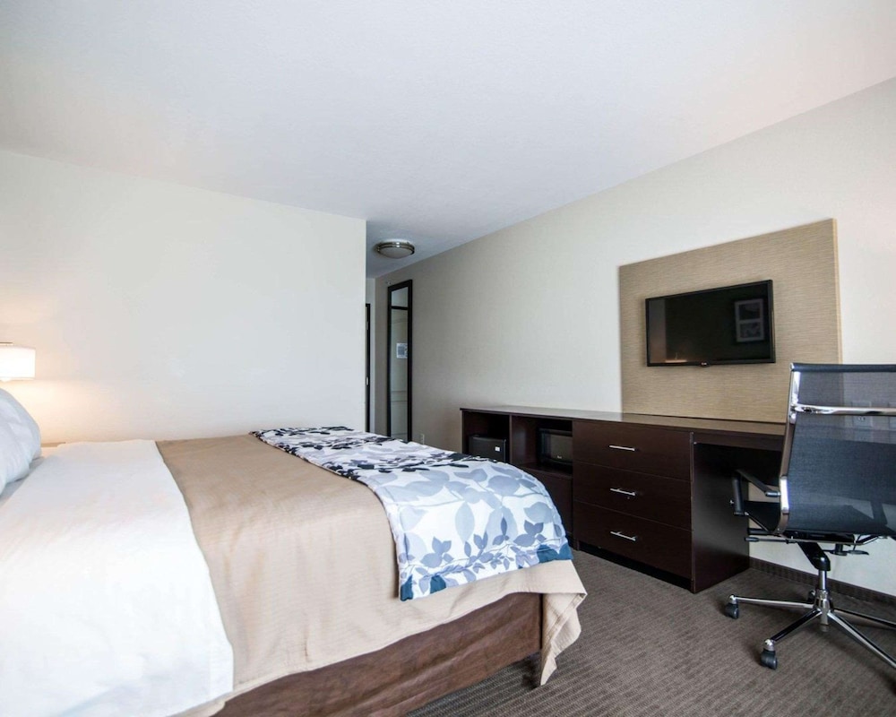 Standard Room, 1 King Bed, Non Smoking photo 3