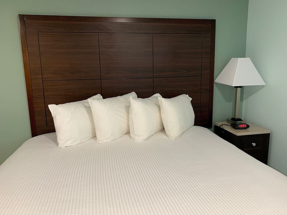 Double Room, Multiple Beds, Non Smoking, Pets Allowed photo 1