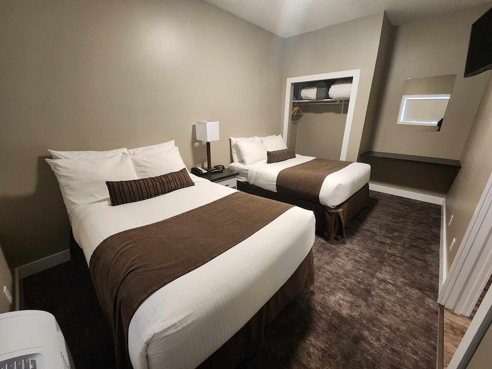 Suite, Kitchen (Pet Friendly) photo 1