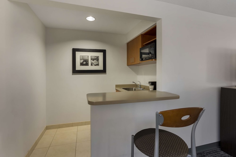 Suite, 1 King Bed, Non Smoking, Refrigerator & Microwave (with Sofabed)