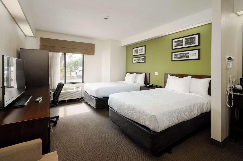 Standard Room, 2 Double Beds, Non Smoking, Refrigerator & Microwave - Photo 2