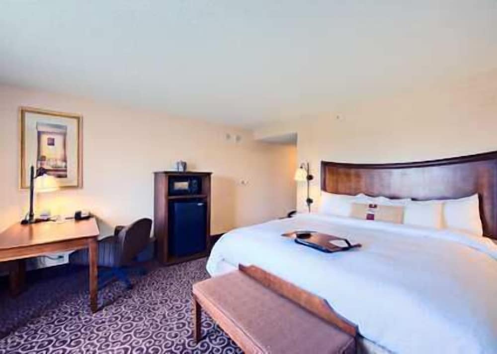 Studio Suite, 1 King Bed with Sofa bed, Non Smoking photo 3