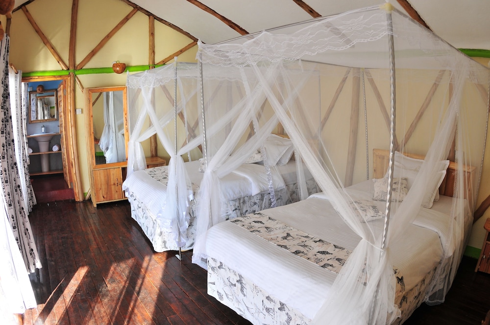Luxury Twin Room