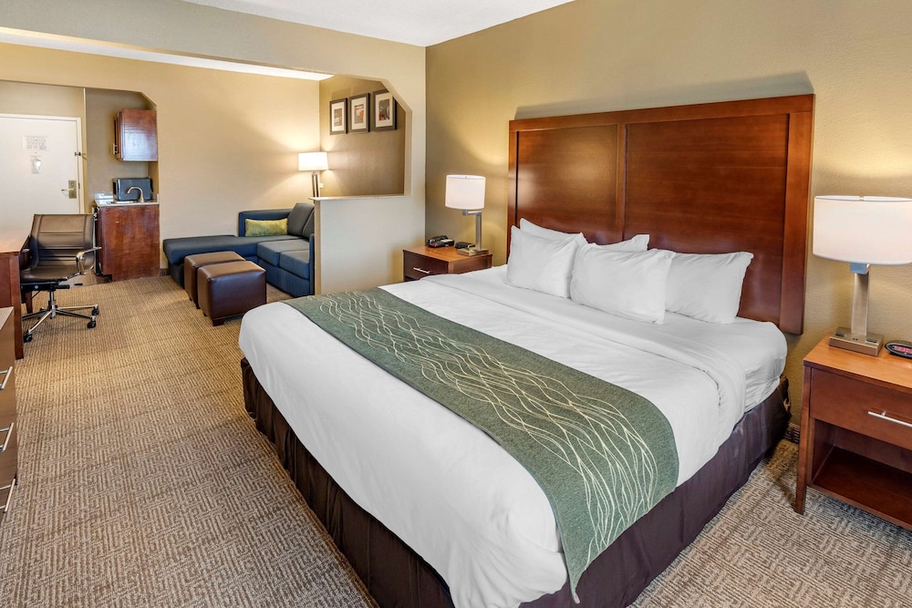 Standard Suite, 1 King Bed with Sofa bed, Non Smoking photo 1