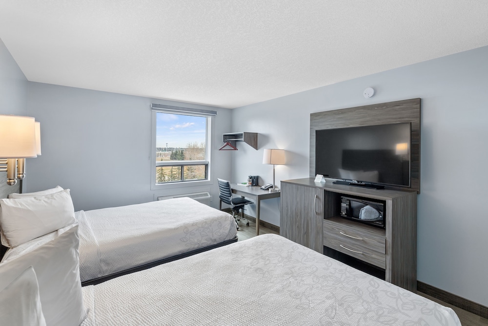 Superior Room, 2 Double Beds, Non Smoking - Photo 2