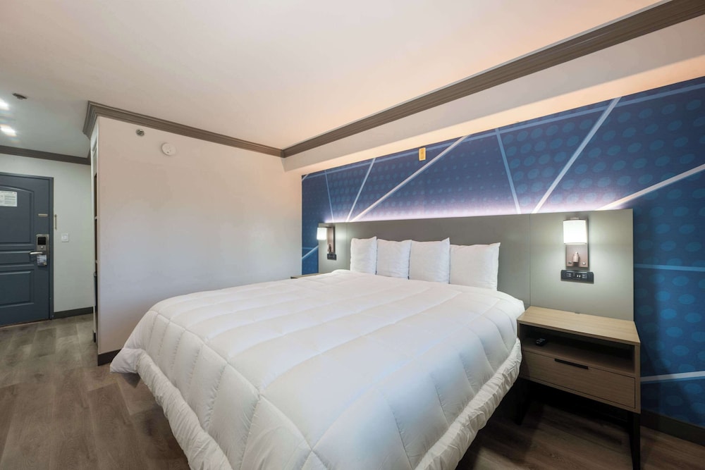Standard Room, 1 King Bed, Non Smoking - Photo 8