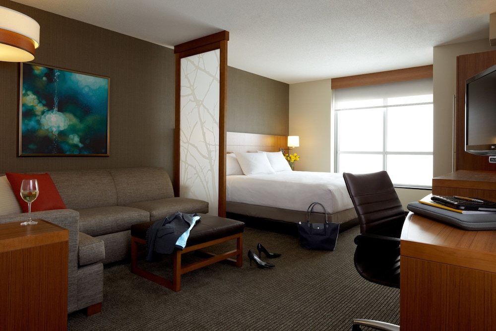 Room, 1 King Bed with Sofa bed (High Floor)