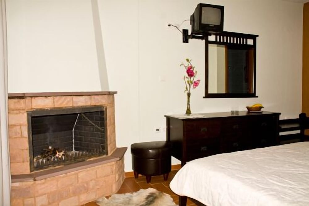 Double Room, 1 Queen Bed, Fireplace, Mountain View photo 3