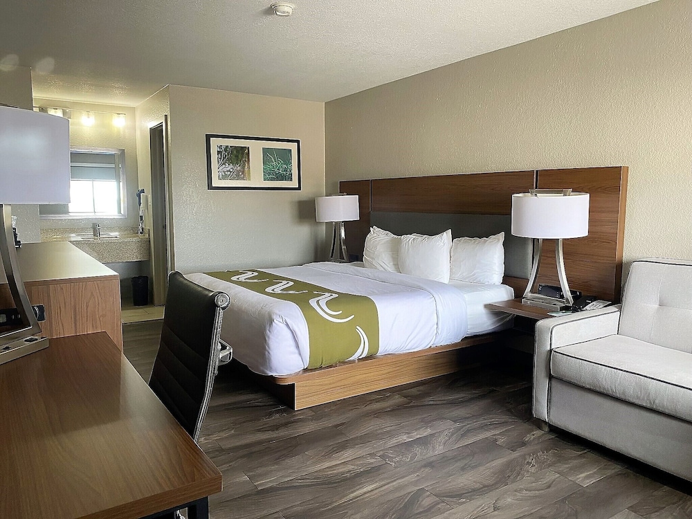 Standard Studio Suite, 1 King Bed With Sofa Bed - Photo 4