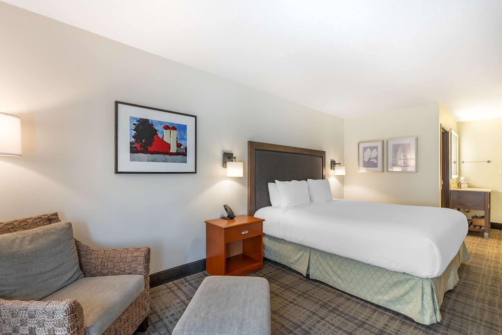 Standard Room, 1 King Bed, Non Smoking, Refrigerator - Photo 14