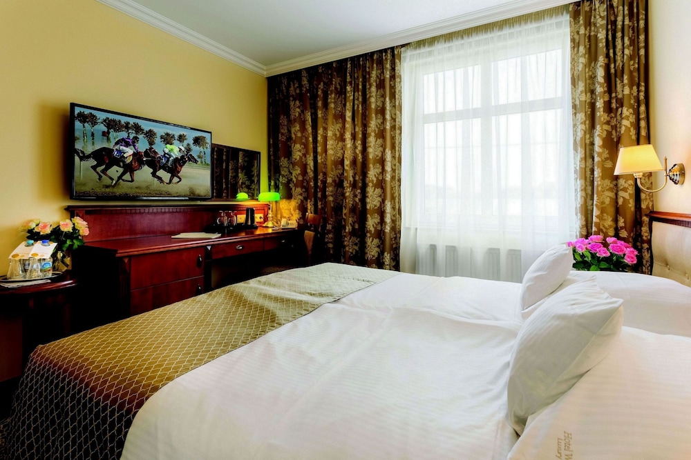 Superior Single Room photo 3
