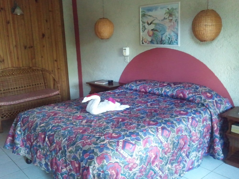 Superior Room, 1 Queen Bed photo 3