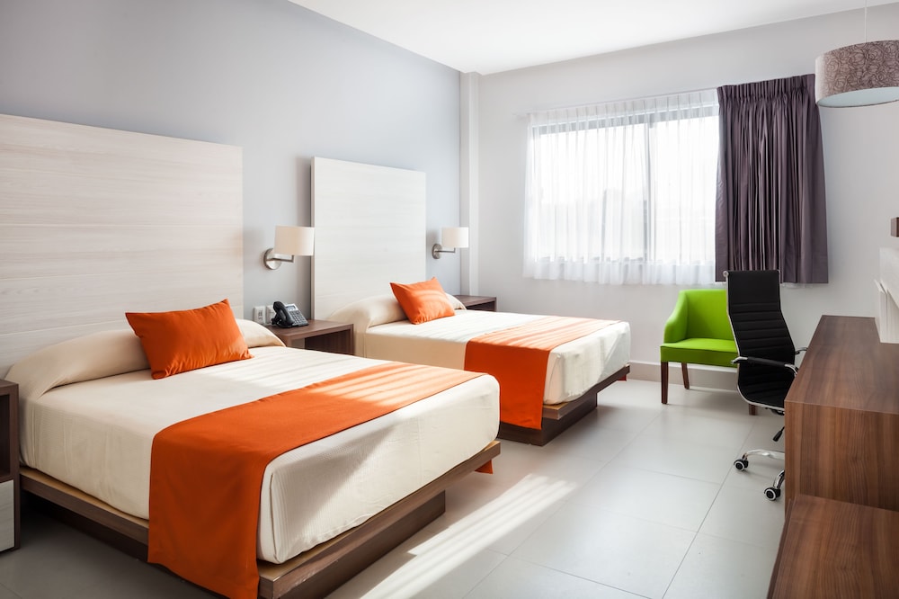 Executive Room, 2 Double Beds photo 1